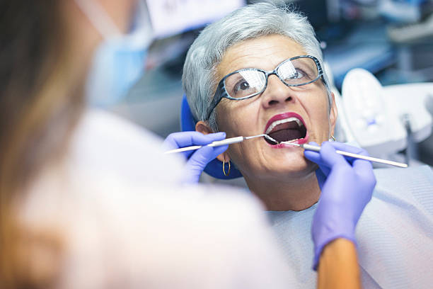 Professional Holistic Dental Care Services in Olympia Heights, FL
